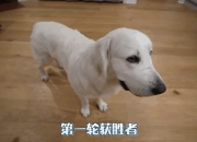 米兰体育官网-实力悬殊对决，获胜一方毫不留情