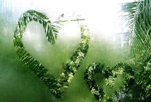 米兰,-天使降临决战夜，迪马利亚一锤定音，尤文强压皇家社会问鼎欧冠