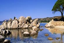 米兰体育app-卡尔蒂斯攻防火力全开，防守迎挑战