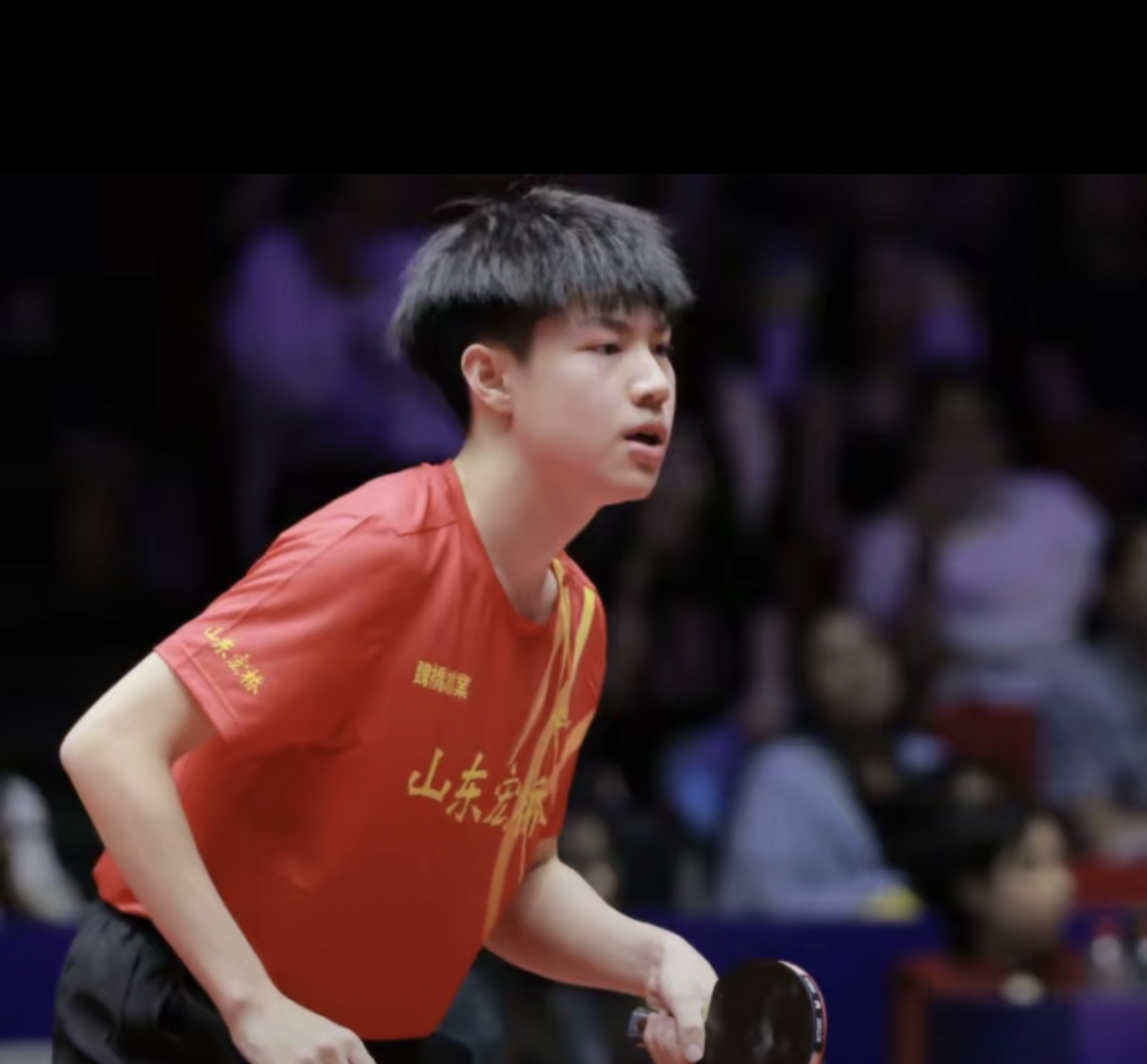 葡萄牙队翻盘英格兰队,樊振东带队取胜 葡萄牙队翻盘英格兰队,樊振东带队取胜