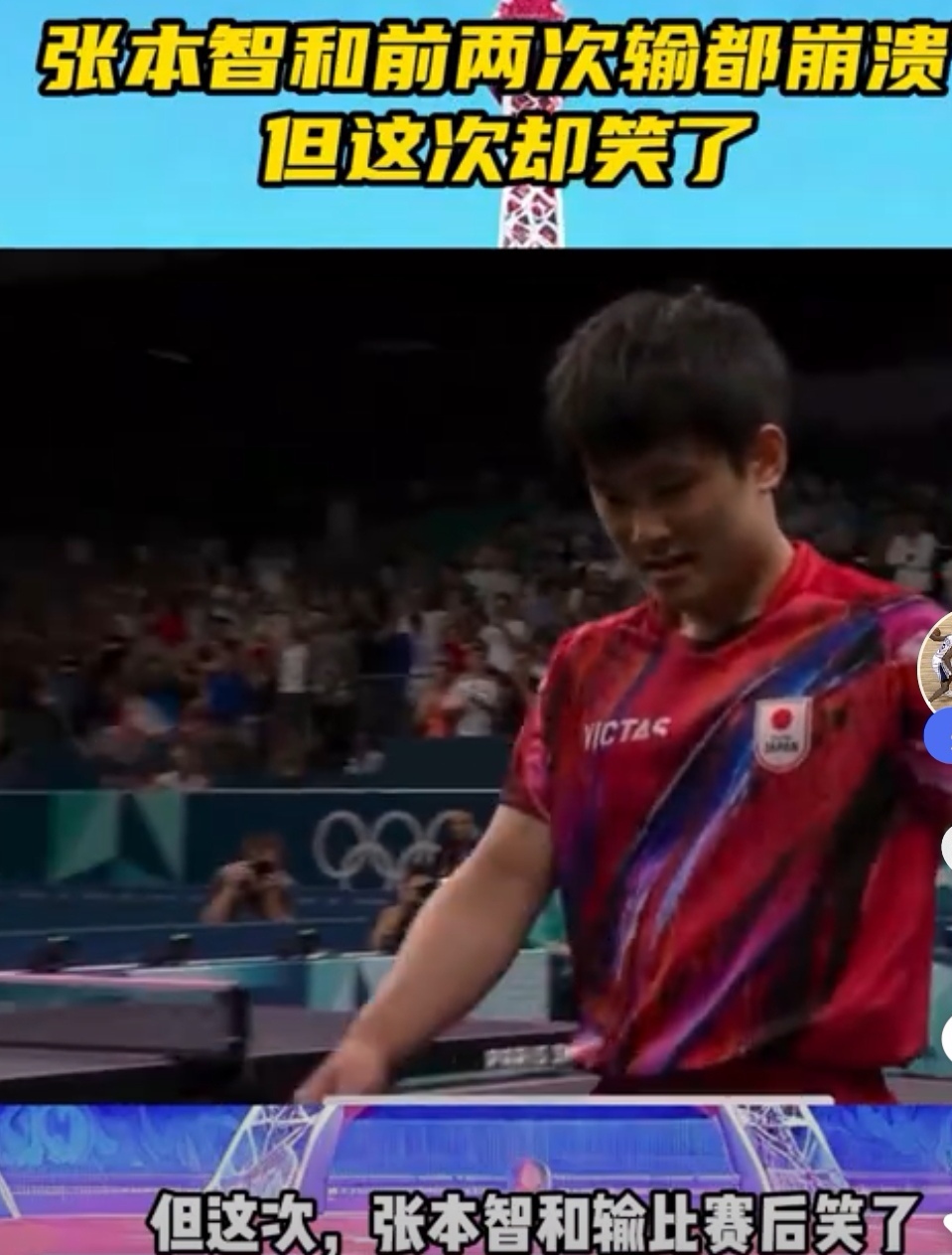 关于德国队鏖战日本队，张本智和惊艳四座的信息